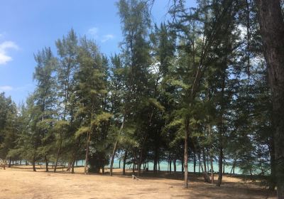 Pantai Teluk Mak Nik