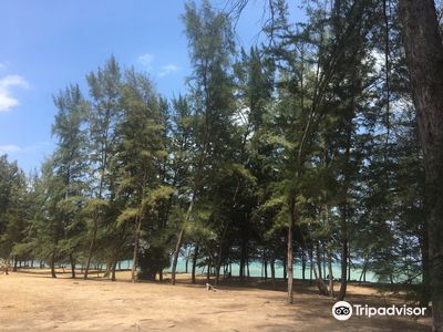 Pantai Teluk Mak Nik