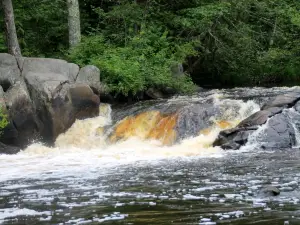 Dave's Falls County Park