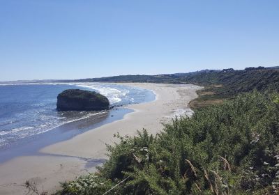 Playa Lechagua
