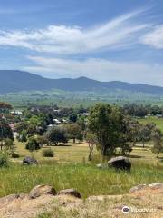 Playles Hill Lookout