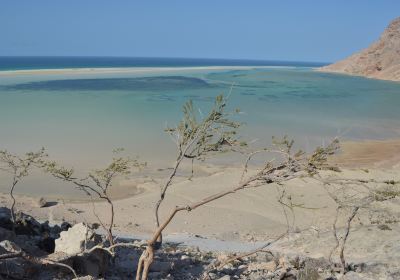 Socotra Island