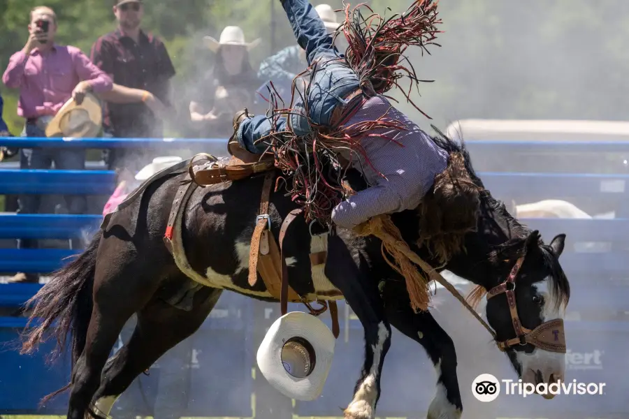 Historic 1836 Chuckwagon Races