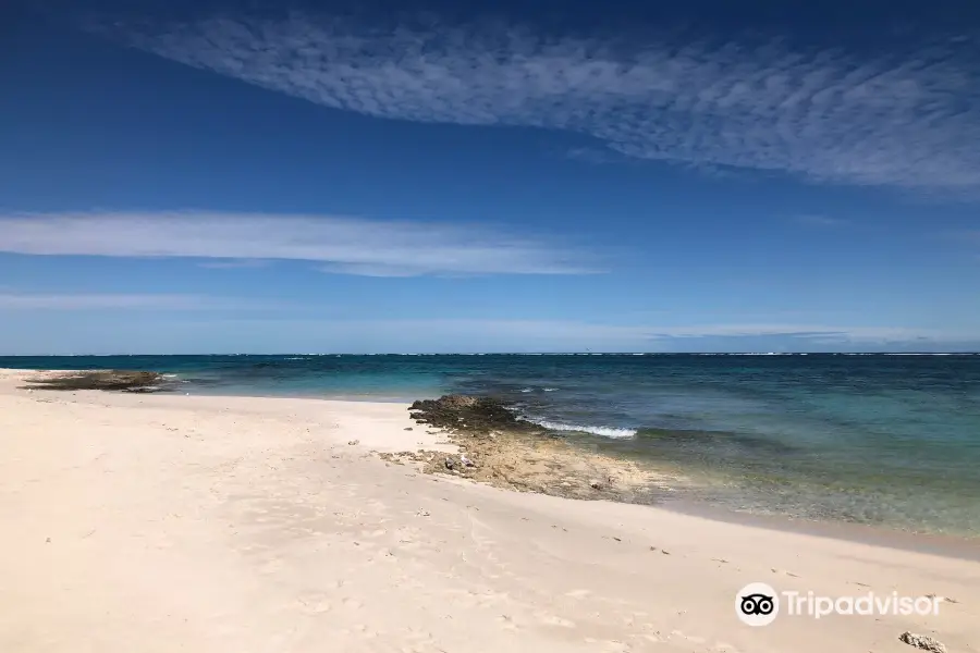 Ningaloo Marine Park