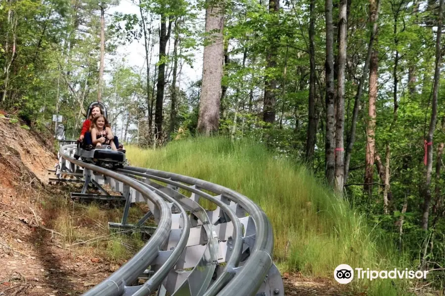 Ripley's Mountain Coaster