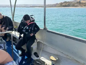 Spondylus Dive Center