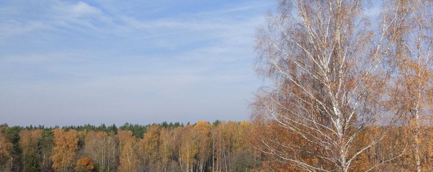 Yukhnovsky District