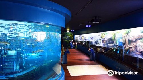 山梨県立富士湧水の里水族館 森の中の水族館