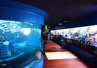Yamanashi Prefectural Fuji-yuusui-no-sato & Mori-no-naka Aquarium