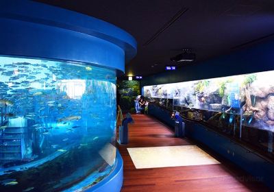 富士湧水之裡水族館（森林水族館）