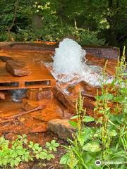 Big Mine Run Geyser