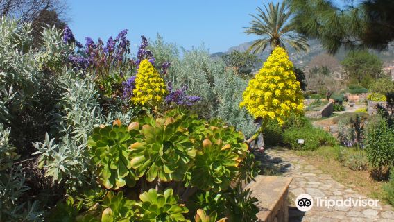 Jardi Botanic de Soller
