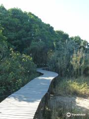 Beachwood Mangroves Nature Reserve