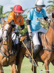 Apes Hill Polo Club