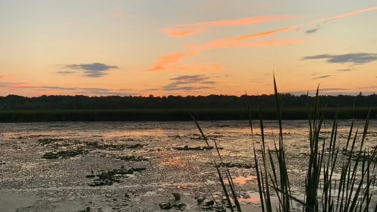 Imagine the Marsh Conservation Area