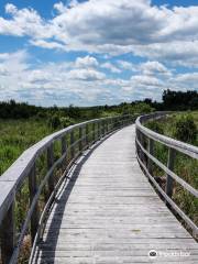 Cooper Marsh Conservation Area