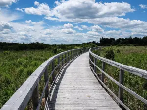 Cooper Marsh Conservation Area