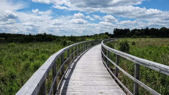 Cooper Marsh Conservation Area