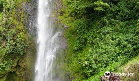 Cataratas Viento Fresco