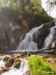 Fairy Creek Falls