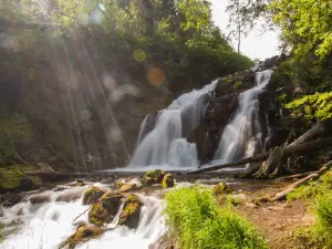 Fairy Creek Falls