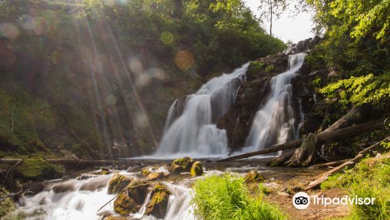 Fairy Creek Falls Trailhead