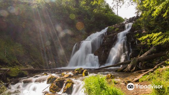 Fairy Creek Falls