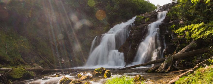 Fairy Creek Falls