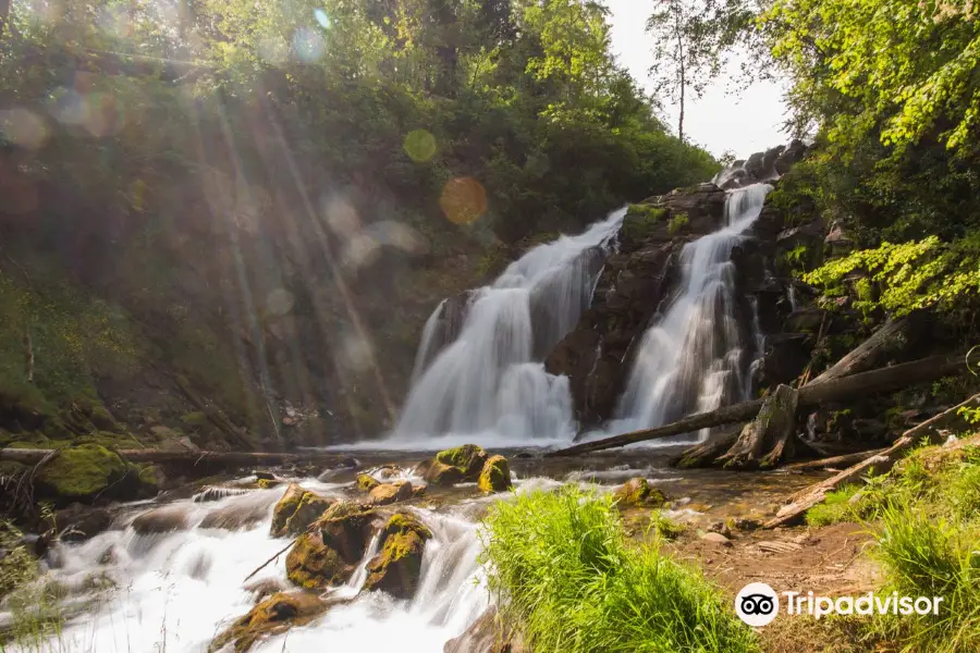 Fairy Creek Falls