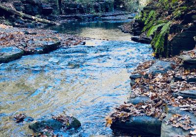 Short Springs Natural Area