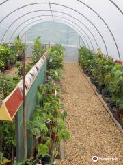 Daleys Fruit Tree Nursery