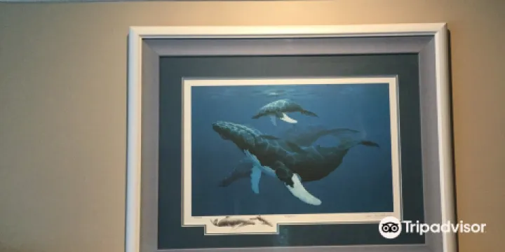 Endangered Arts Ltd.