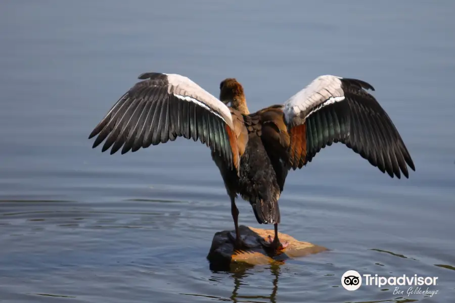 Austin Roberts Bird Sanctuary