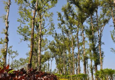 सीथार्गुंदु व्यू पॉइंट