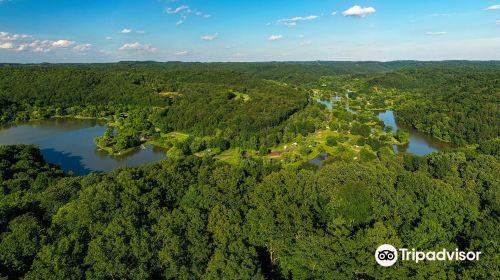 Beech Fork State Park