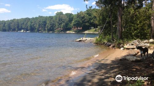 Chandos Lake