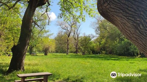 Parc de Vaugrenier