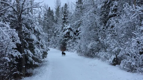 Three Mile Bend Recreation Area