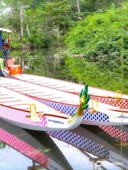 Dragon Boat Dominican Republic