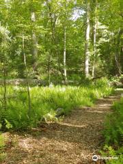 Mass Audubon's North River Wildlife Sanctuary