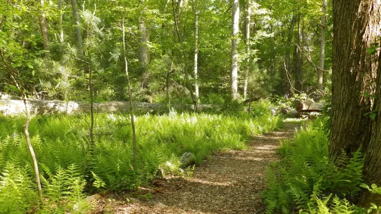 Mass Audubon's North River Wildlife Sanctuary