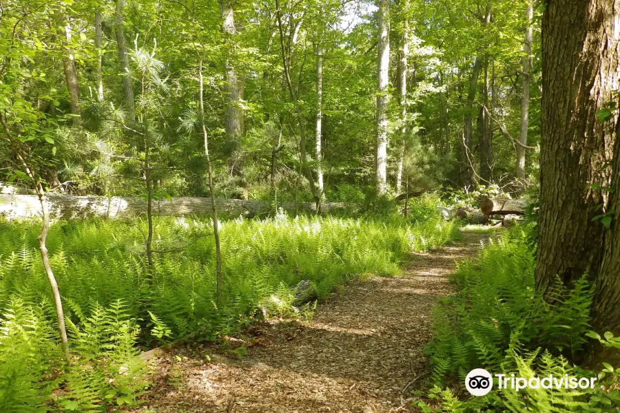 Mass Audubon's North River Wildlife Sanctuary