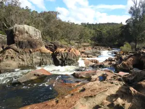 Lane Poole Reserve