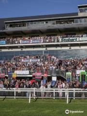 Carlisle Racecourse