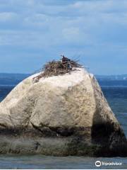 Target Rock National Wildlife Refuge