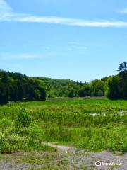 Scanlon Creek Conservation Area