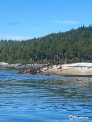 Mackay Whale Watching