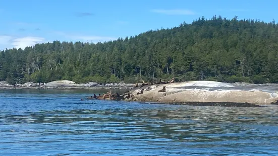 Mackay Whale Watching