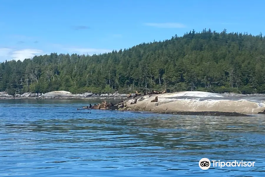 Mackay Whale Watching