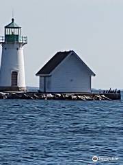 1000 Islands-Seaway Charters